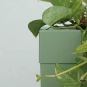 Pot de Fleur Riuni®