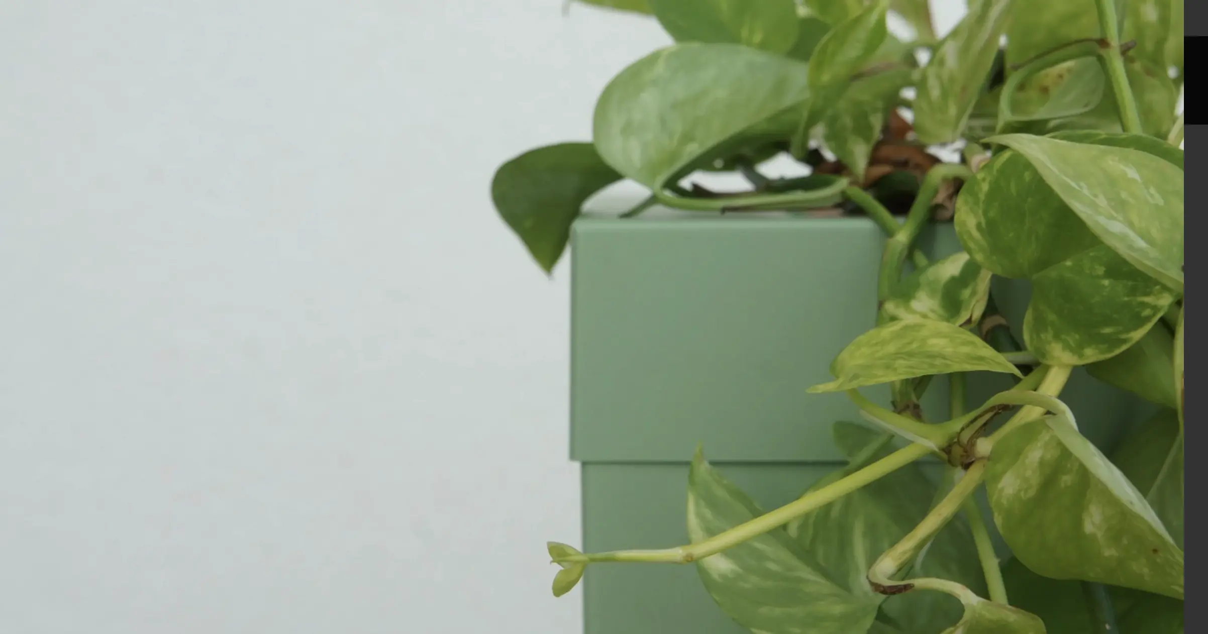 Pot de Fleur Riuni®